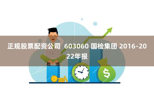 正规股票配资公司  603060 国检集团 2016-2022年报