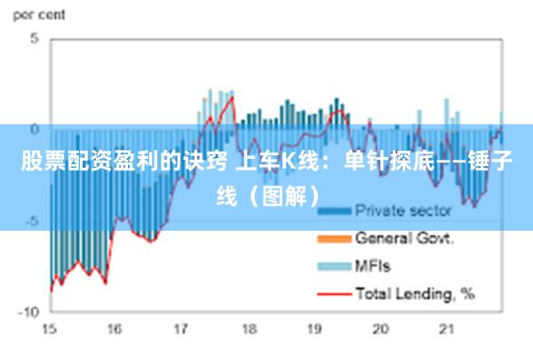 股票配资盈利的诀窍 上车K线：单针探底——锤子线（图解）