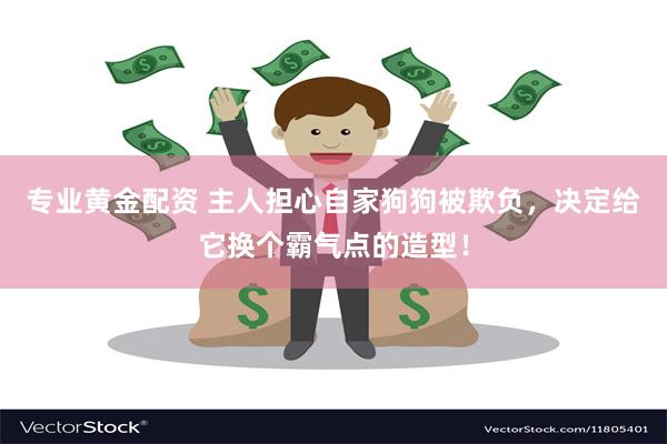 专业黄金配资 主人担心自家狗狗被欺负，决定给它换个霸气点的造型！