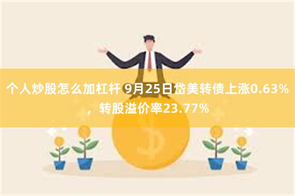 个人炒股怎么加杠杆 9月25日岱美转债上涨0.63%，转股溢价率23.77%