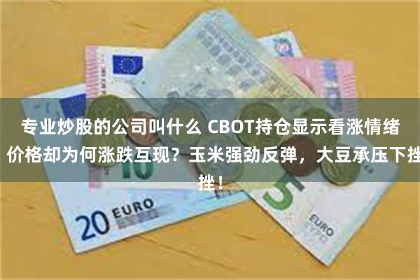 专业炒股的公司叫什么 CBOT持仓显示看涨情绪，价格却为何涨跌互现？玉米强劲反弹，大豆承压下挫！