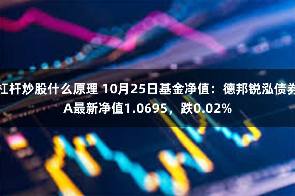 杠杆炒股什么原理 10月25日基金净值：德邦锐泓债券A最新净值1.0695，跌0.02%