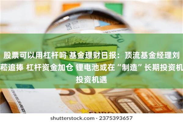 股票可以用杠杆吗 基金理财日报：顶流基金经理刘格菘追捧 杠杆资金加仓 锂电池或在“制造”长期投资机遇