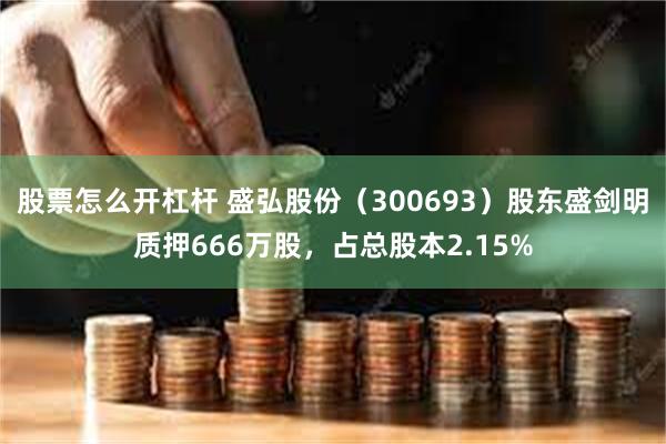 股票怎么开杠杆 盛弘股份（300693）股东盛剑明质押666万股，占总股本2.15%