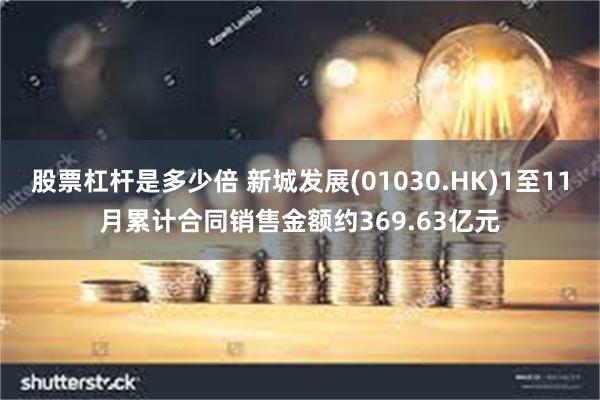 股票杠杆是多少倍 新城发展(01030.HK)1至11月累计合同销售金额约369.63亿元