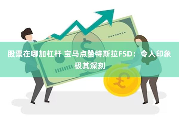 股票在哪加杠杆 宝马点赞特斯拉FSD：令人印象极其深刻