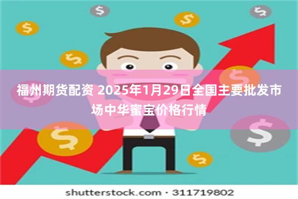 福州期货配资 2025年1月29日全国主要批发市场中华蜜宝价格行情