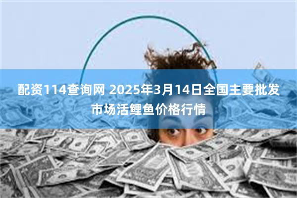 配资114查询网 2025年3月14日全国主要批发市场活鲤鱼价格行情